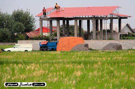 بیشترین تخلفات تغییر کاربری در گیلان